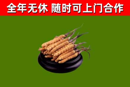 兴安区烟酒回收冬虫夏草.jpg