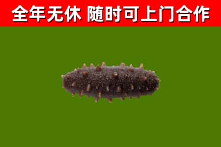 兴安区烟酒回收干海参.jpg